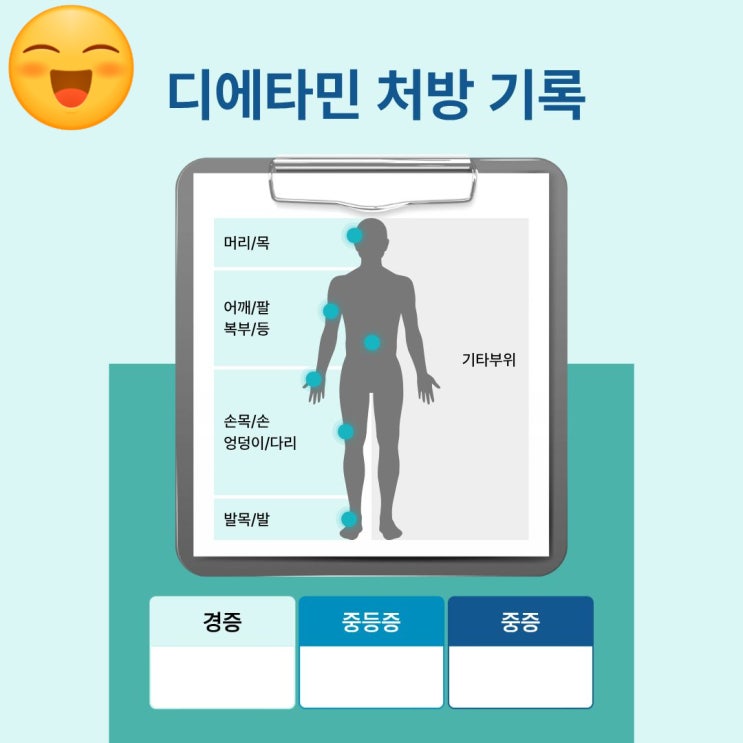  디에타민 처방 기록 병원과 심평원 둘 다 남습니다