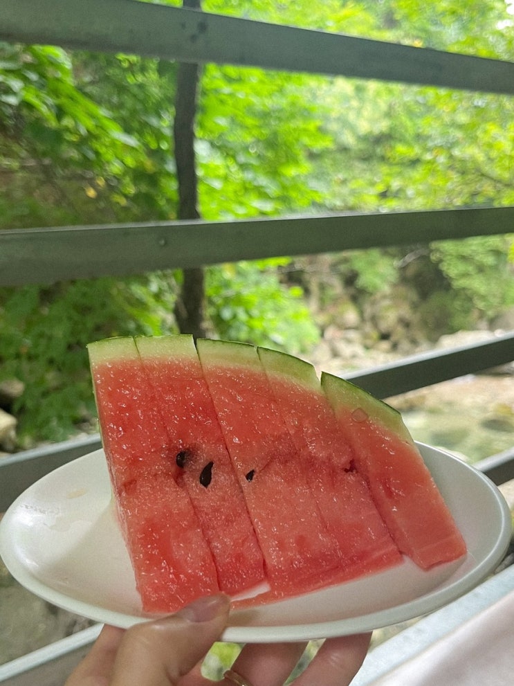  [경기도 연천 대광골산장] 여름휴가 가족여행 계곡에서 즐기는 백숙 & 삼겹살 후기