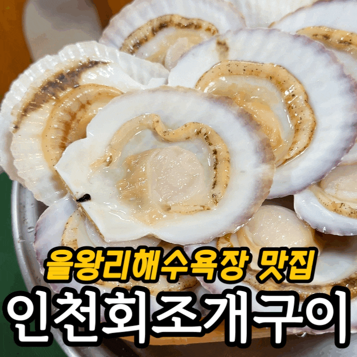  을왕리 조개구이 맛집 인천회조개구이｜푸짐한 코스와 바다 감성 솔직 후기