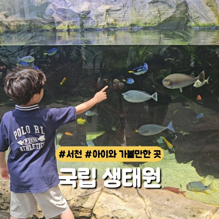  국내 최대규모 국립생태원 후기 주차장 정보 서천 아이와 가볼만한곳