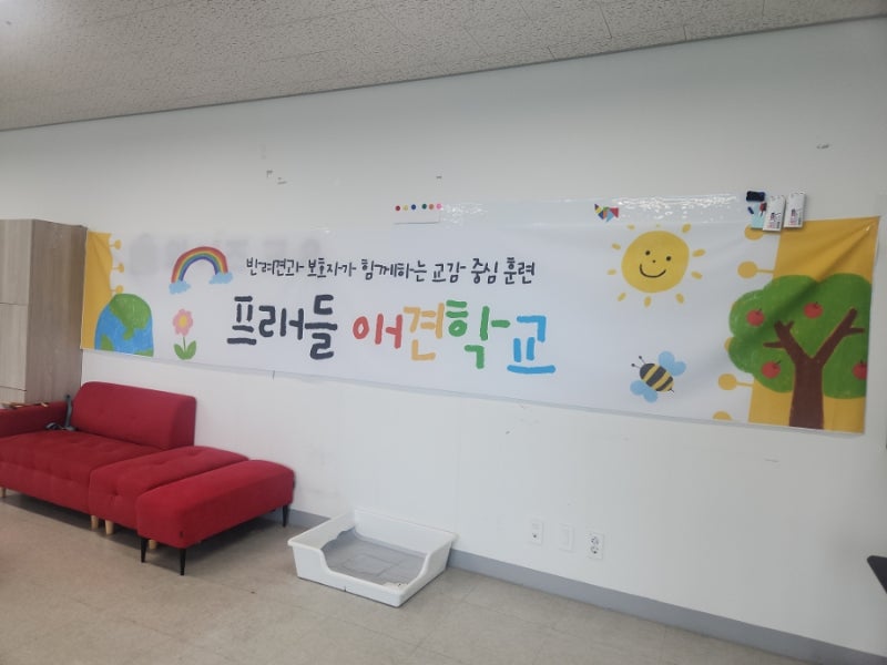 사진 4