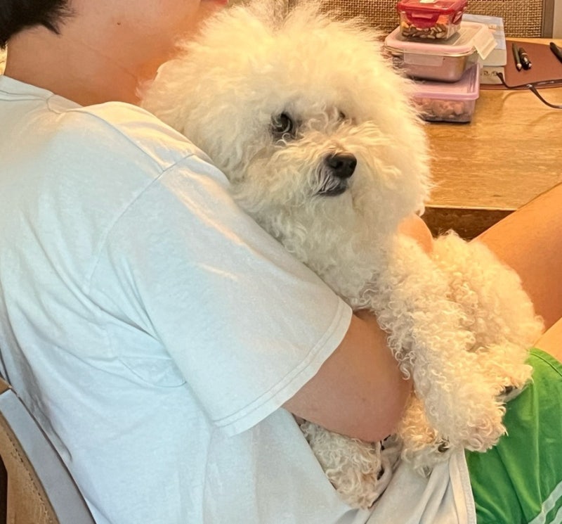 사진 4