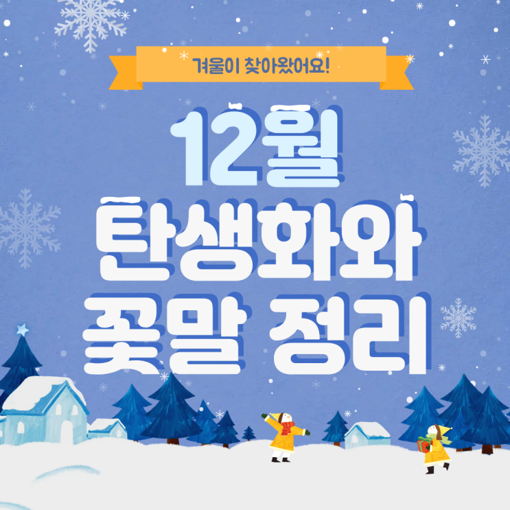  12월 탄생화 꽃말 완벽 총정리 1일부터 31일까지