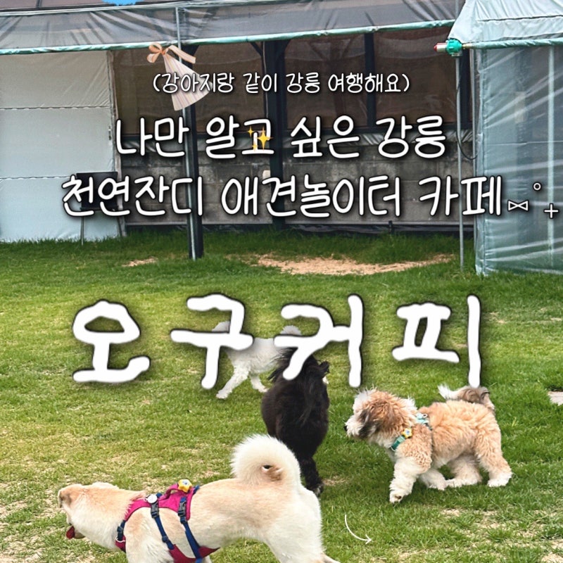 사진 2