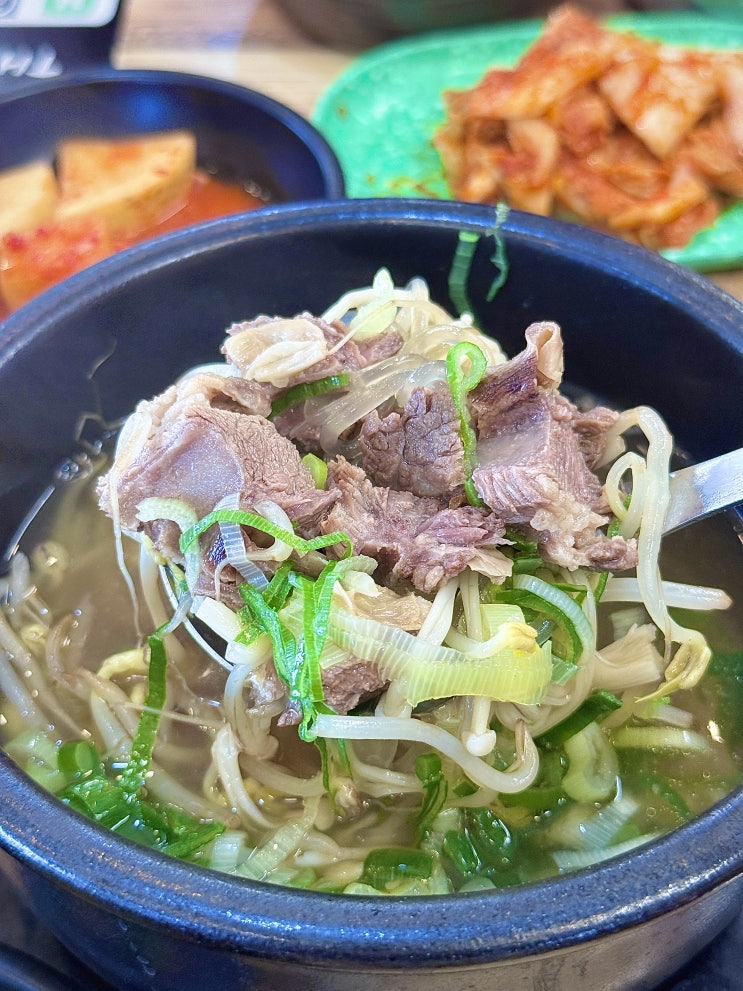  구미 봉곡동 맛집 아이랑 가성비 점심 메뉴 추천 더양파