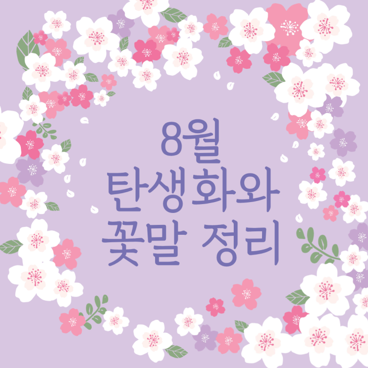  8월 탄생화 꽃말 완벽 총정리 1일부터 31일까지