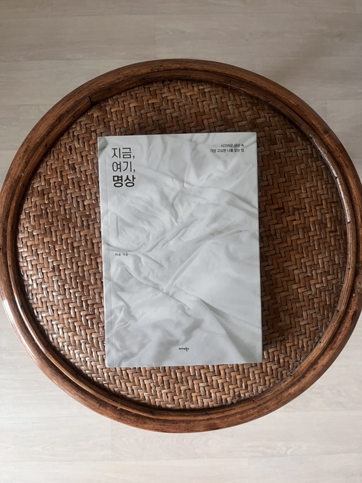  책 지금, 여기, 명상 서평