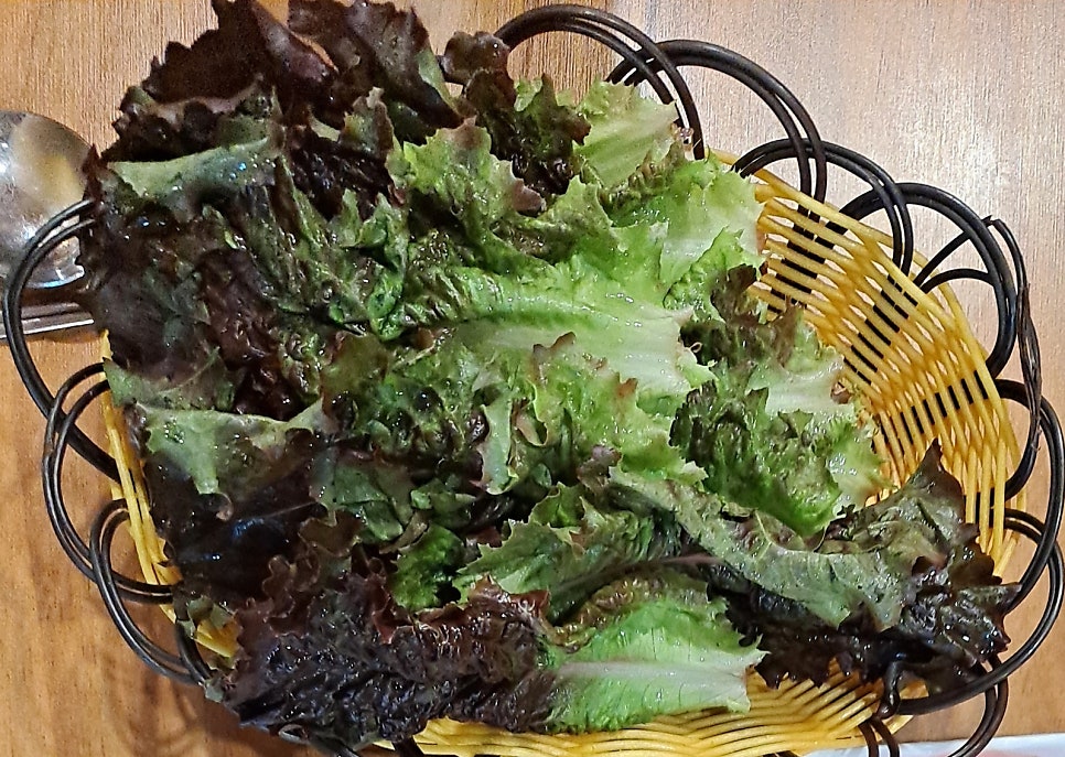 약선한방족발보쌈 사진 5