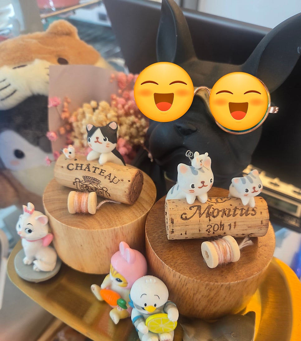 아이라티 사진 5