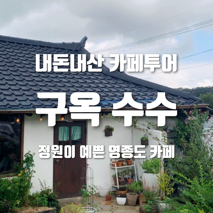  [내돈내산] 고양이가 귀엽고 꽃나무가 예쁜 구옥수수, 영종도 카페 추천