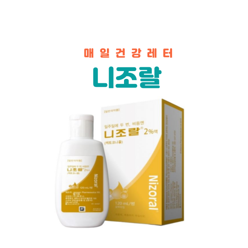 니조랄샴푸 약국 가격 등드름 사용법 부작용