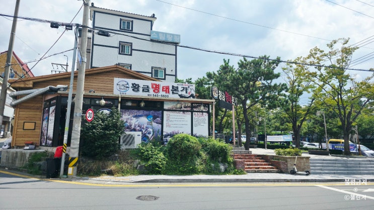  진해 황금명태본가 후기 (내돈내산)