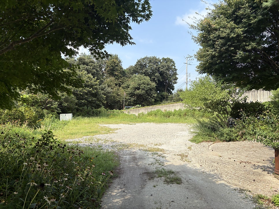 갈릴리펜션 사진 2