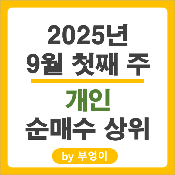 개인 순매수 상위 국내 주식 순위 카카오 카카오페이 주가