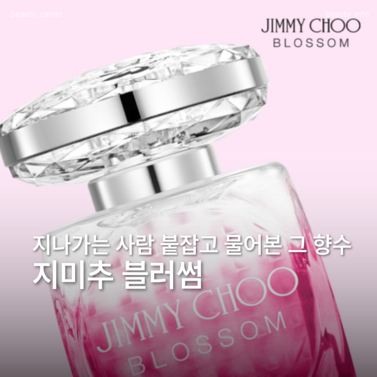  올리브영 달달한 여자 향수 추천 지미추 블러썸