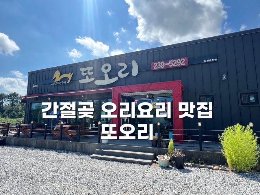 또오리 사진 1