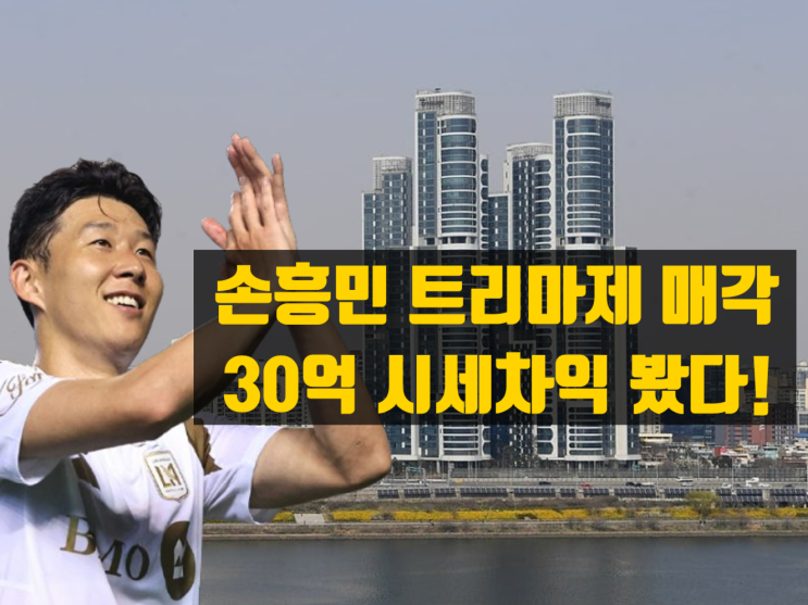  손흥민 , 트리마제 매도로 30억 이상 차익 실현 – 성수동 트리마제와 성수 전략정비구역의 미래가치