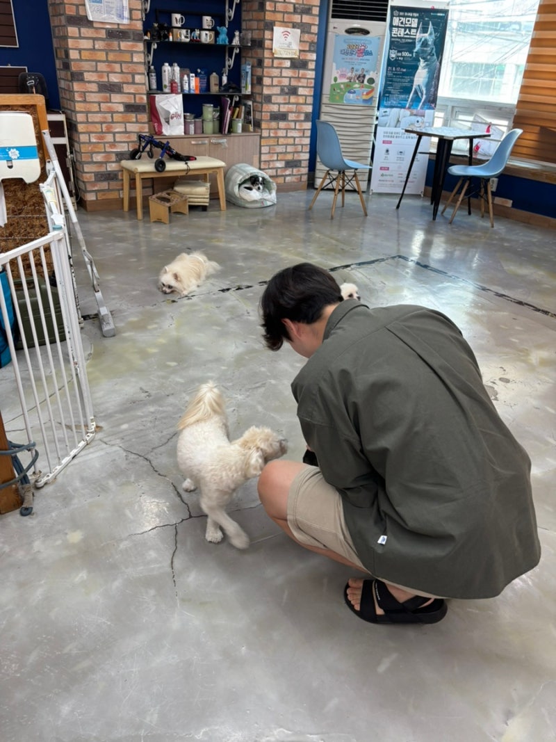 개이득 애견카페
