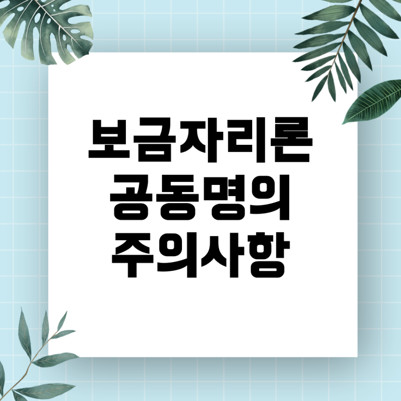2024년 보금자리론, 무소득 배우자와 공동명의 신청 시 주의할 점 총정리