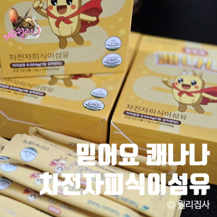  차전자피환 식이섬유 꼭 필요한 이유 먹어야 할 사람