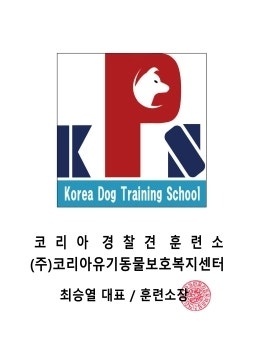 사진 6