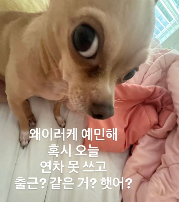 8월 결산