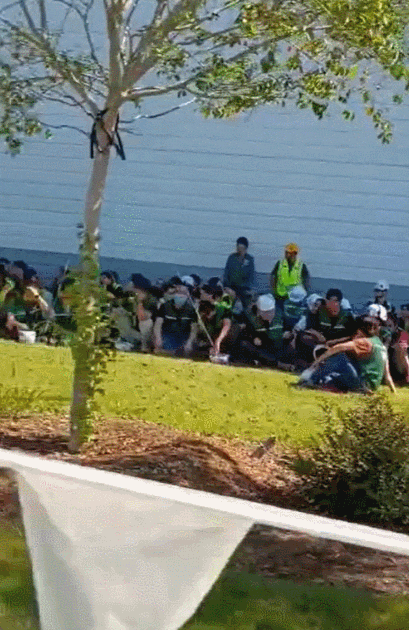 미국 조지아 공장, 한국인 300명 <b>구금 사태</b>의 충격적인 진실