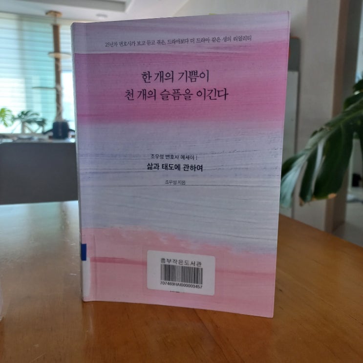한 개의 기쁨이 천 개의 슬픔을 이긴다 조우성 변호사 에세이 삶과 태도에 관하여