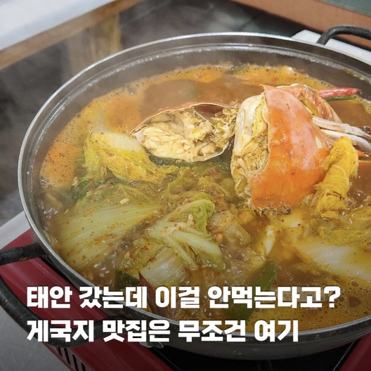  태안 가볼만한곳 게국지 맛집 추천 덕수식당 내돈내산 웨이팅