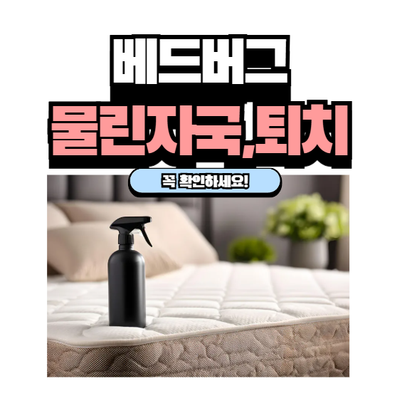 베드버그 물린자국 증상 퇴치제 약 퇴치 빈대 물림