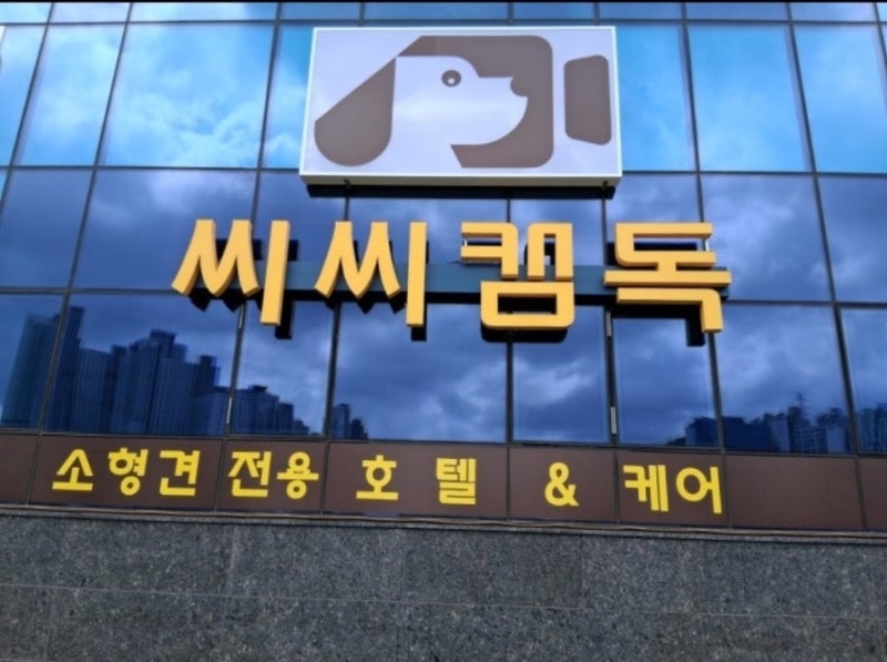 씨씨캠독 루원본점