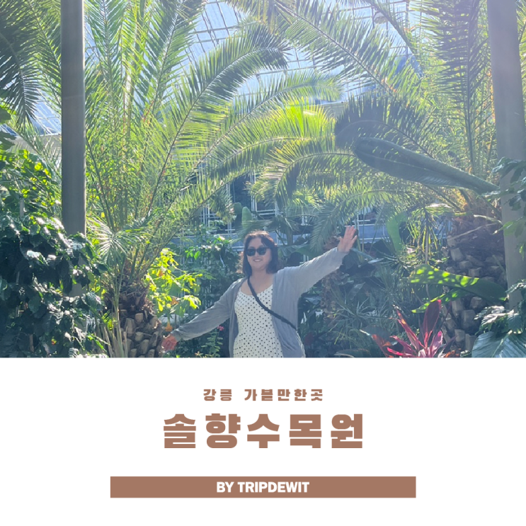  강릉 솔향수목원 초록버스 타고 떠나는 열대수목원 데이트 꿀팁