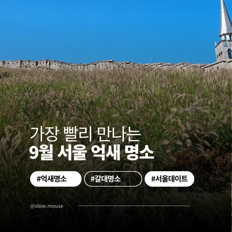  9월 서울 가볼만한곳 흥인지문공원 억새명소 놓치면 아쉬울걸?