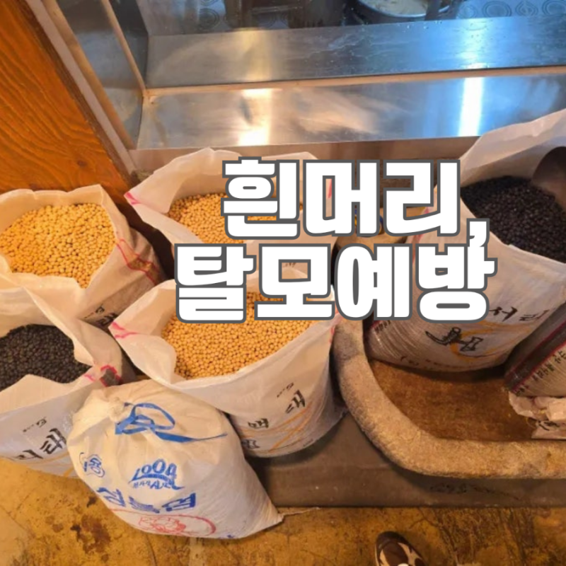 콩가루 모델 이현이 흰머리 없는 비결 이영자 탈모 예방 검은콩