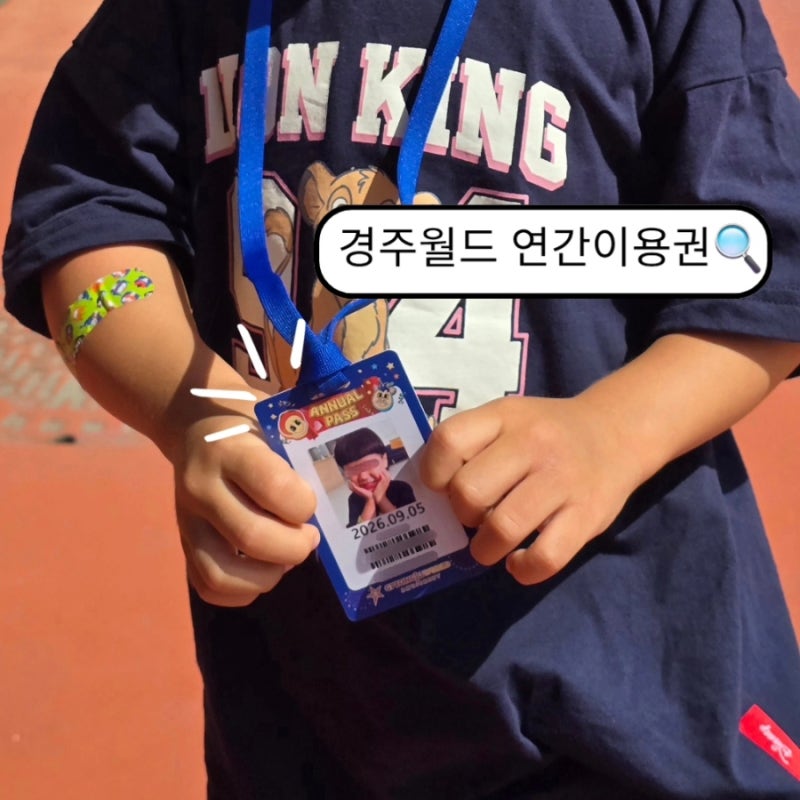 경주월드 연간이용권 할인 꿀팁! 구매처·가격·등록방법·재입장까지 총정리