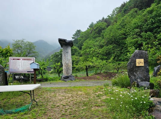 앙골 사진 3