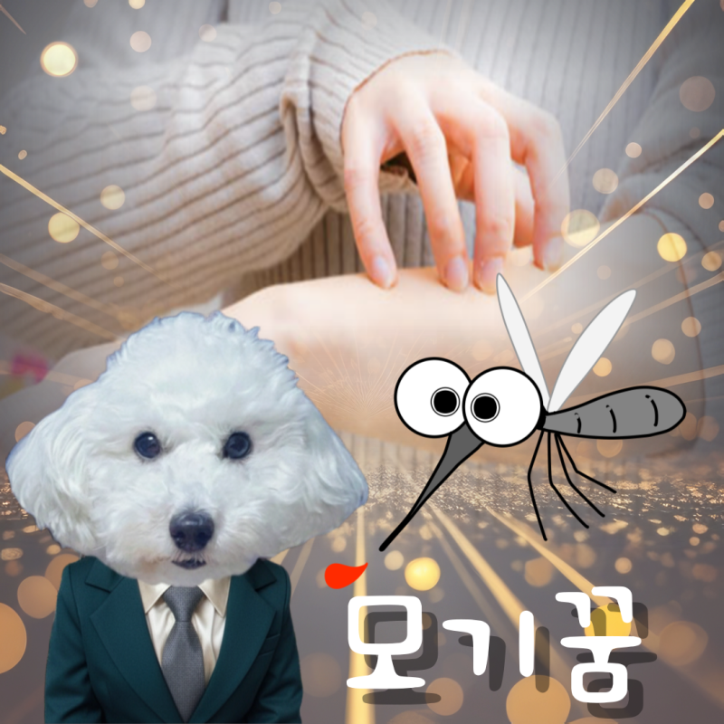 모기 물리는꿈 해몽 알아보니 불길한 징조라고?