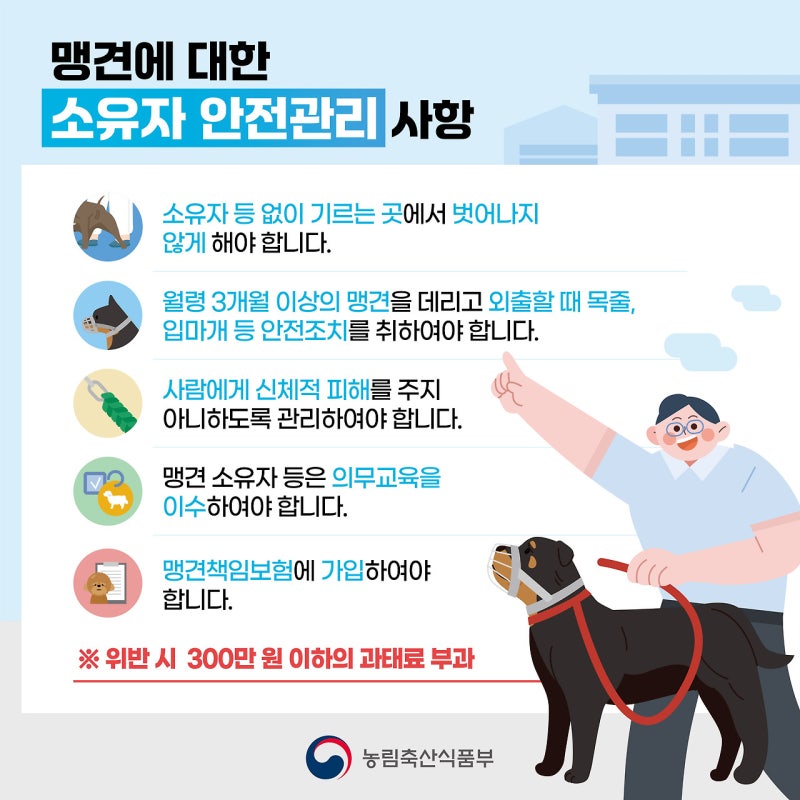 사진 5