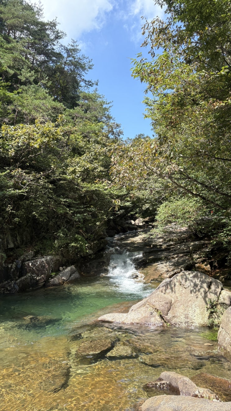  [여행] 광주 근교 전남 곡성 도림사 계곡 물놀이(취사 불가, 날씨요정, 양동 통닭)