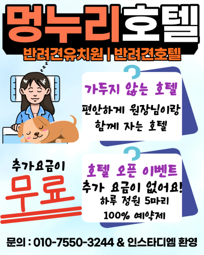 사진 4