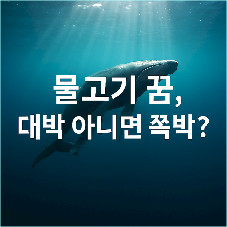  물고기 꿈 해몽: 재물인가, 속임수인가? (잉어, 고래, 상어 꿈 총정리)