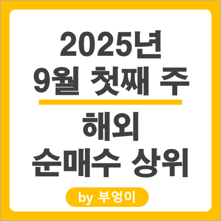 순매수 상위 해외 주식 SOXL 테슬라 주가 CRDO BMNR CRCL