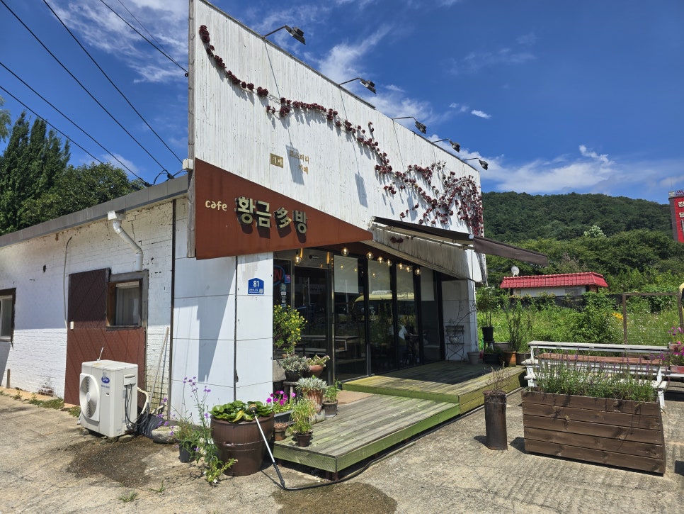 황금다방