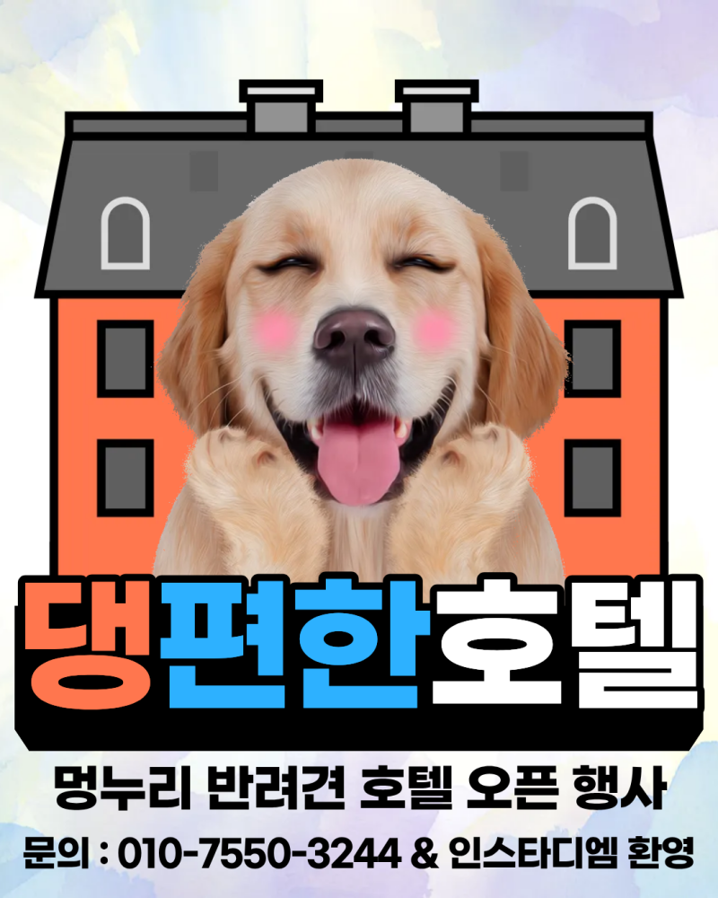 사진 3