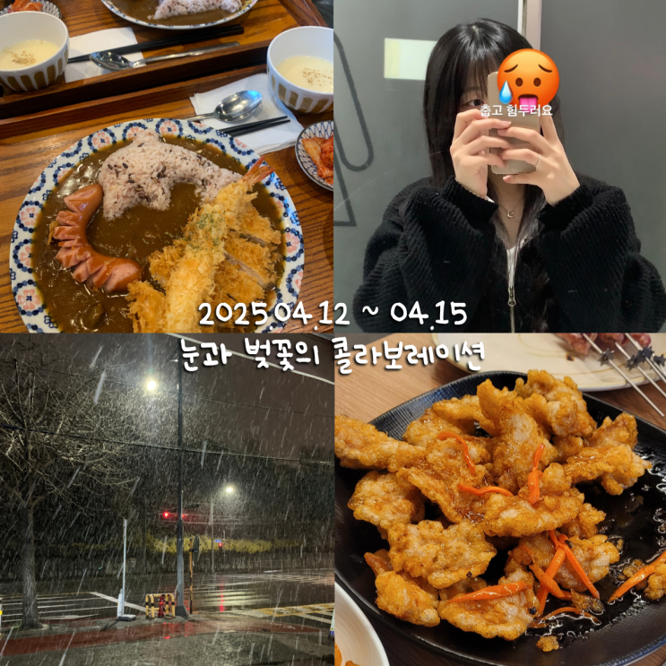  4월일상 5 :: 4월의 스페셜 에디션 (벚꽃, 눈, 우박)
