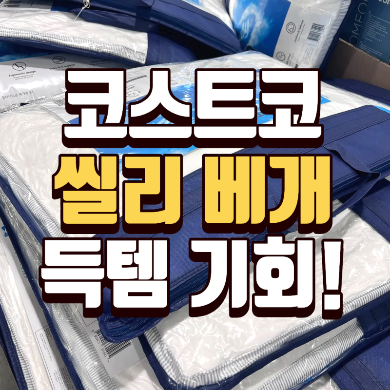 9월 코스트코 씰리 베개 득템 기회! 다운 얼터너티브 할인행사 세일 가격 종류