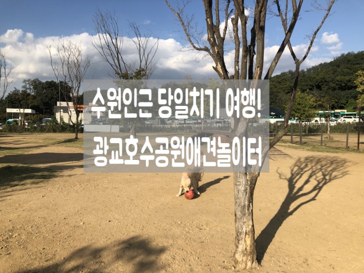  수원인근 당일치기 여행! 광교호수공원애견놀이터