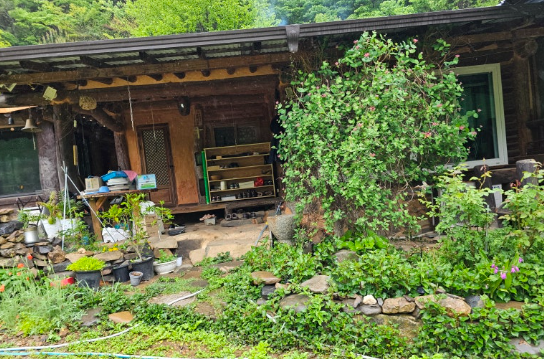 앙골 사진 6