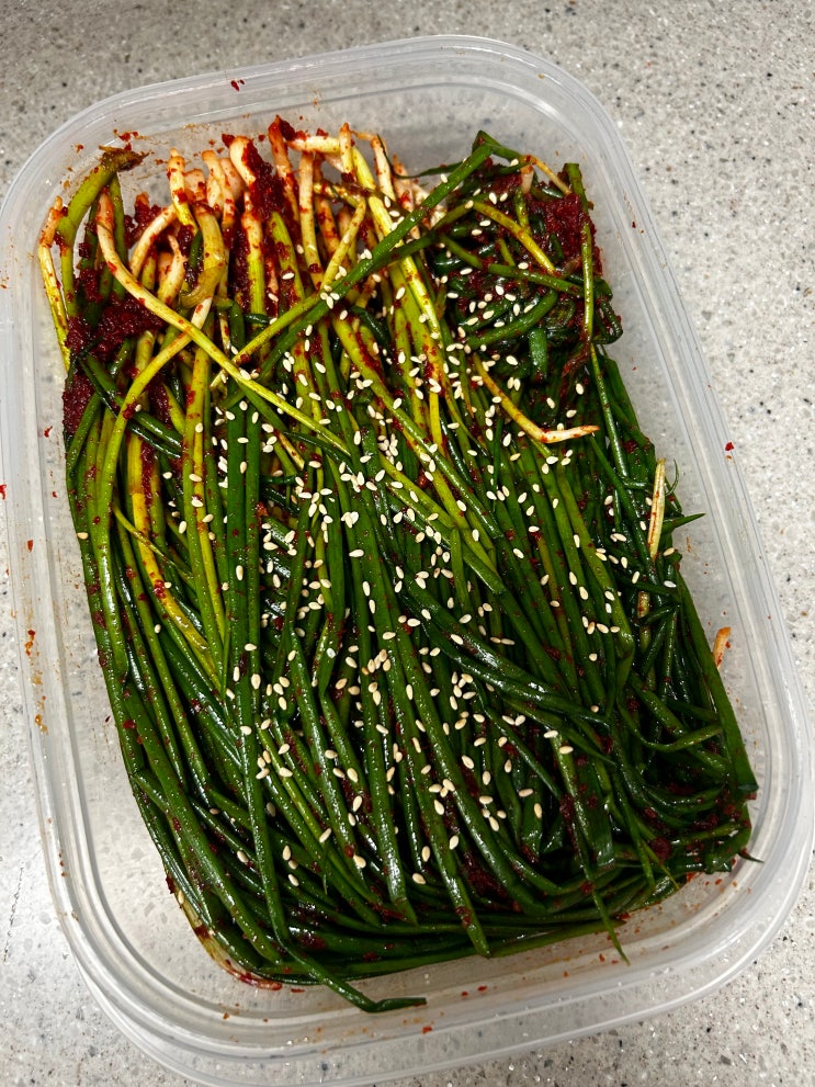  오랜만에 파김치 공장 가동 | 파김치 1kg 레시피