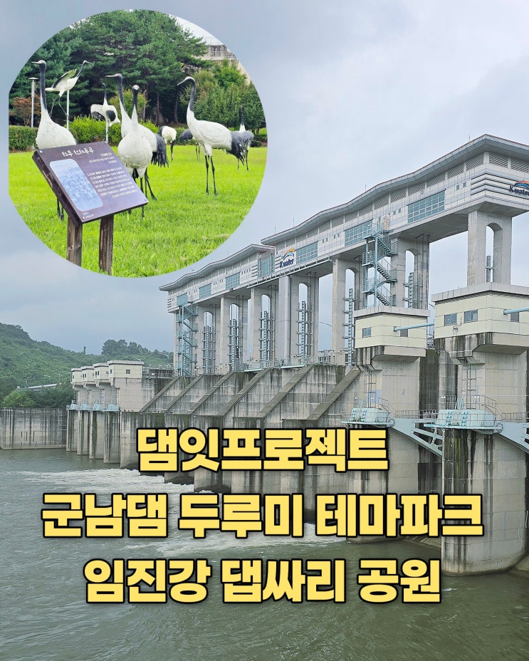 연천 여행 일정 임진강 댑싸리 공원 개화시기 <b>군남댐</b> 두루미... 